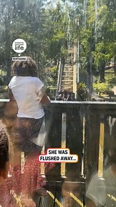 Flushed away 🤣 | Lessons Learned In Life