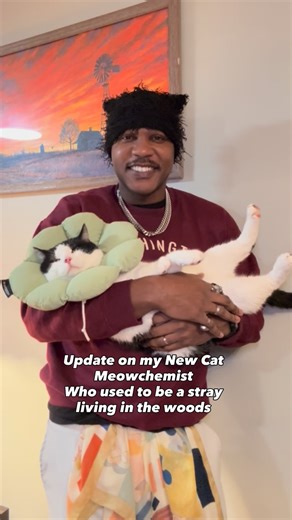 iAmMoshow🌟(The Cat Rapper ™ 😼) on Instagram: "Hello everyone! I wanted to give you an update on my new cat Meowchemist! It’s wild to think he was just a stray living in the woods. Everyday he wasn’t sure where his food would come from. One day I saw him hiding in the bushes near my house next thing I know he’s on my front porch and rest is history! He just got neutered so wish my boy a speedy recovery! Happy Holidays everyone, we love you #TheCatRapper #Meowchemist #Neutered #StrayCat #Produce