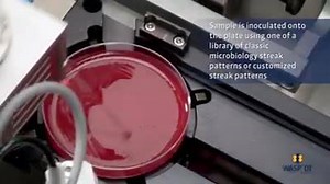 En este video observarás el funcionamiento de un Laboratorio Automatizado de Microbiología. Conoce lo último en procesamiento computarizado de muestras; como siembra y estría en medios de cultivo, ejecución de Tinciones Gram, inoculación en caldos de enriquecimiento, microbiología digital, entre otras tareas de rutina mediante esta tecnología de vanguardia. Fuente: @ cazadores de microbios. | Federación De Ciencias De La Salud Latino America