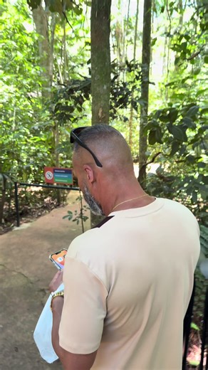 A orelha do pônei tá grudada kkk