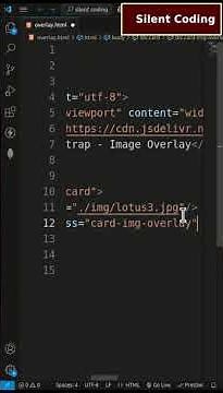How To Text Overlay On Image In CSS? -HTML, CSS, JS tutorial #7