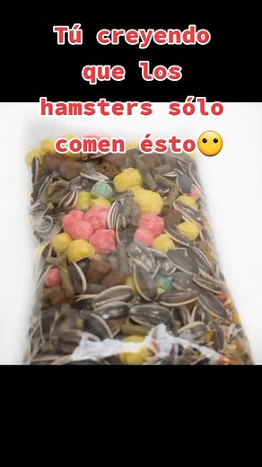 Alimentación adecuada para hámsters: mitos y realidades