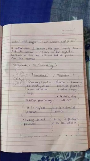 class 10 cbse important notes revision to 10 boards science bio chapter 1 the life process party