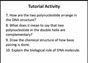 How are the two polynucleotides arranged in the DNA structure?... | Filo