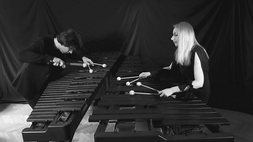 404K views · 18K reactions | Beethoven - Moonlight Sonata (3rd Movement) Performed on 2 marimbas by Lucid Duo | Ludwig van Beethoven | Facebook