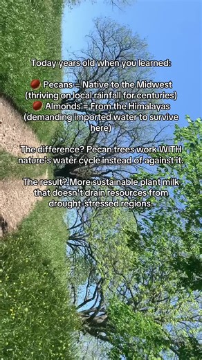 Delicious Pecan Milk: Creamy & Sustainable Nut Milk