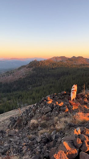 Quiet Evenings in Fire Lookouts: A Serene Escape