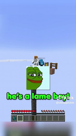 special mods were added #Minecraft #randomitems #meme #funny #minecraftmemes