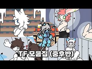 Mid to late TF Collection (Changed Special Edition)