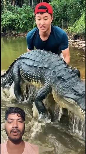 Survival Skills: Useful and Clever #outdoors #survival #campfire #bushcraft#shorts