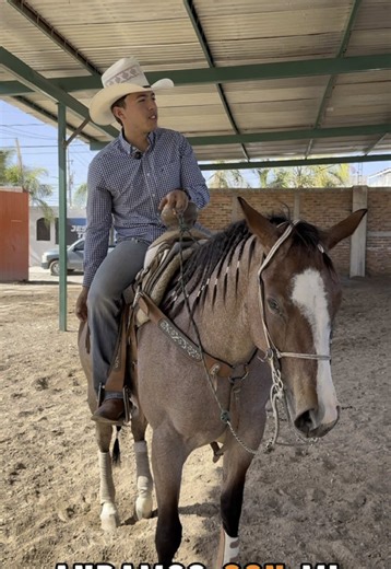 Tips de Charrería para Montar Caballos