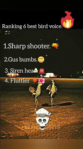 Trollface of birds.🦅😍😬 #trollface #trending #shorts #phonk