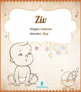 Ziv Name Meaning, Origin, History, And Popularity