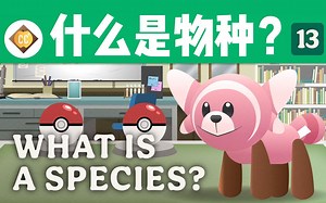 【十分钟速成课：动物学】第13集，什么是物种（中英字幕）Crash Course Zoology #13