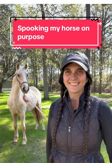 Managing Spooky Behavior in New Horses