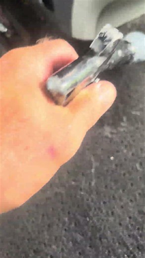 Pet Hair Removal Tip! Watch the Tornador Blow Years of Hair Loose! 🐶🚗
