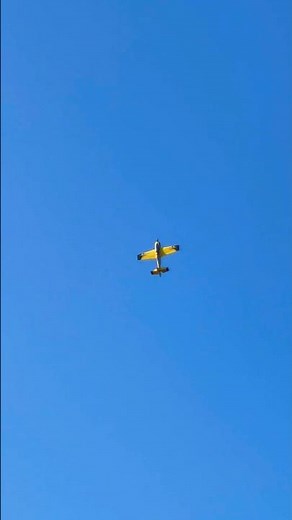 Angry Bird #rc #rcplane #radiocontrol #aerobatics #shorts