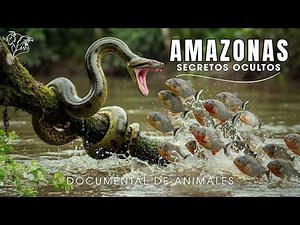 AMAZONAS SALVAJE | Los Secretos Más Impresionantes de la Selva Tropical | Documental de animales