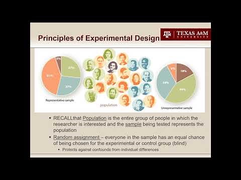 understanding experimental designs