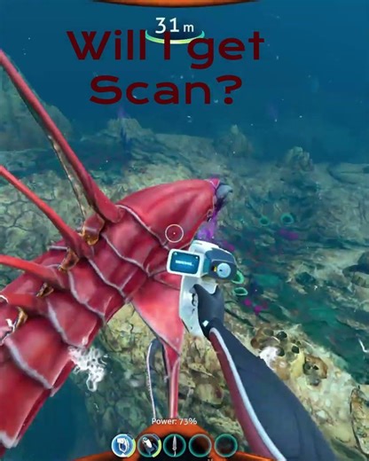 Easy Chelicerate Levitathan Scan