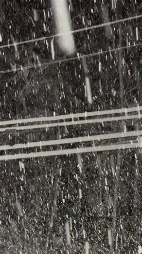 This is an example of why there is concern for widespread power outages in coastal CT. The snow is piling up on the power lines and trees in Westbrook, CT and as the winds pick up it is likely to result in many power outages. Live coverage continues on The Weather Channel. | Charles Peek - Storm Tracker/Weather Reporter