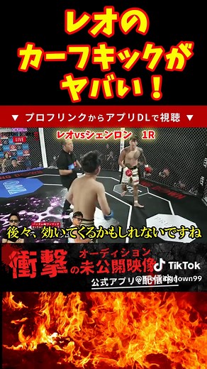レオ vs シェンロンR１: 壮絶な戦い！