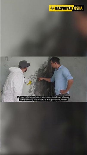 How Does Mold Grow in Properties?