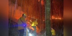 Firefighters respond to Knox County brush fire