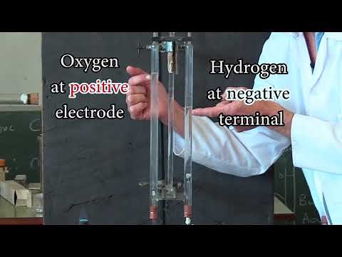 Electrolysis of water in a Hoffman apparatus