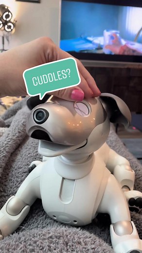 Snuggle Time with Your AI Robot Dog