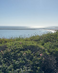 614 reactions · 88 shares | Visit Newport Beach on Reels | Facebook