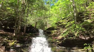 36 reactions | Just got back from a trip in the Pennsylvania Grand Canyon. This is a hidden waterfall along Water Tank Run. It can be easily accessed from the rail trail. I'll be sharing a lot more unfiltered things like this after trips, as well as more photos than you'll see on the main page. | Uncovering PA | Facebook