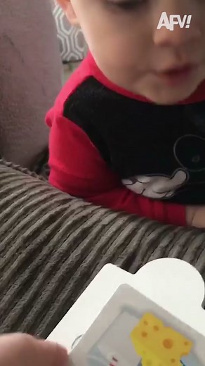 Dogs say moo too 🐶🐾 #afv #dog #parenting #pets #funnyvideos #cute