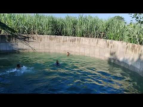 public swimming pools near me