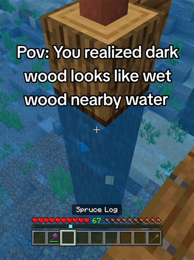 Minecraft: Make Dark Wood Look Like Wet Wood Near Water