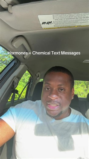 Hormones & The Pituitary Gland Explained