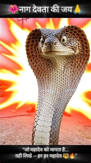 #shorts "हर हर महादेव"🙏🌺| #mahadev #status #shivji #viral