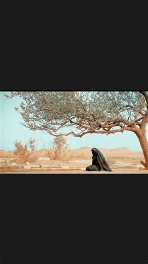 فيديوهات أنشأها مصطفى 🌛💗🌜 (@jgjr.kfkf) باستخدام الصوت الأصلي - مصطفى 🌛💗🌜