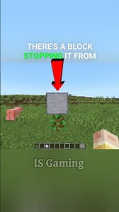 😱 One Block Can Stop A Tree From Growing