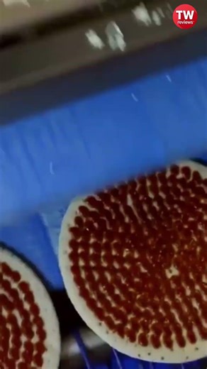 Pizza making in factory: Automated pizza production line