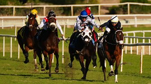 Underdog race horse wins most races in 2021