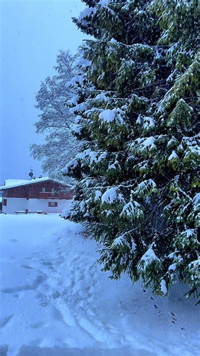Affittasi due bellissimi appartamenti a Madonna di Campiglio. Ancora pochi posti disponibili per marzo. Affrettatevi ❄️❄️❄️❄️⛷️⛷️⛷️⛷️⛷️ #madonnadicampiglio #montagna #dolomitidibrenta #trentino #vacanze