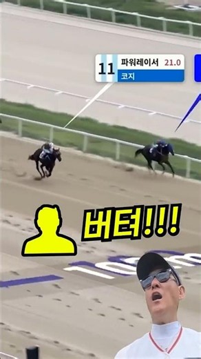 This is why rookie horse races are terrifying. #horseracing