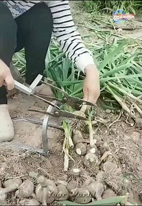 Good tools, creative ideas and great technology 😲😲😲😱😱😱 | Media 2