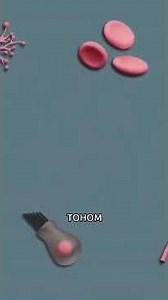 🦾 частичное перепрограммирование клеток #новостинауки #science
