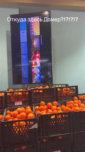 Відео користувача Malbear (@daniy_1k) з композицією «original sound - cheesie»