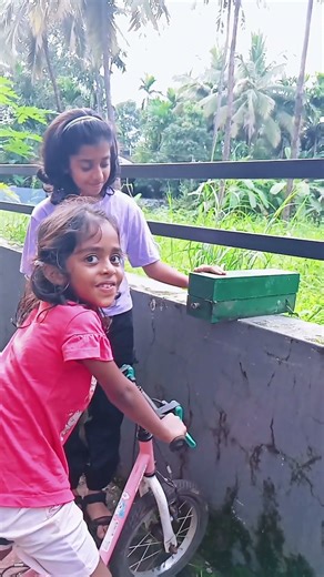 Why Every Garden Needs Stingless Honey Bees | Pollination & Biodiversity Explained | Mantra Herbs