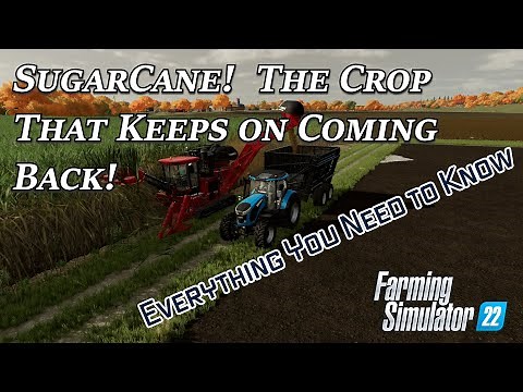 Everything you need to know about Sugarcane in Farming Simulator 22