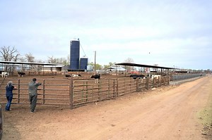 Virtual Farm Tour - Nevada Dairy Farmers