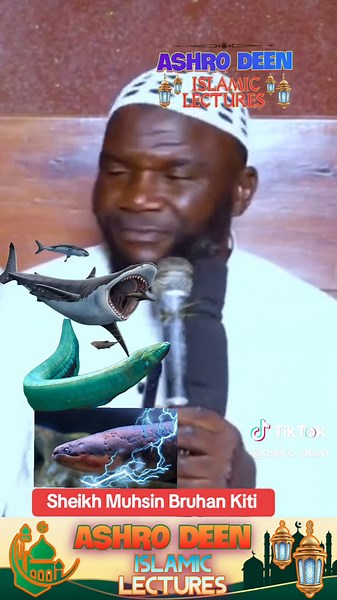 #sheikhkiti #ashrodeen